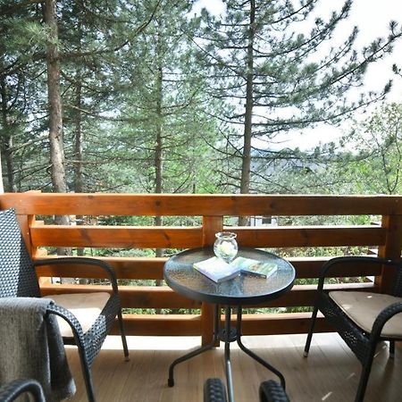 Apartman Silver Lux Златибор Экстерьер фото